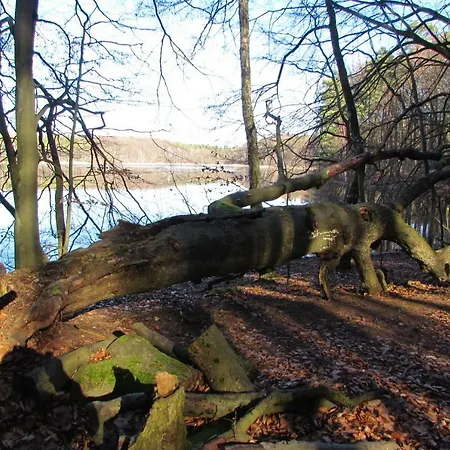 Apartman Mit Balkon, Zimmermann