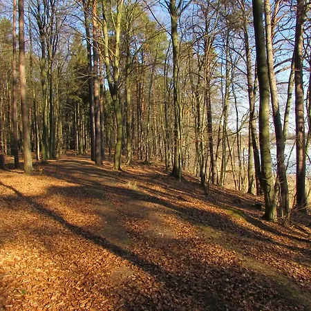Mit Balkon, Zimmermann *