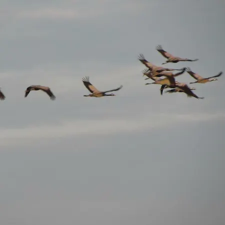 Mit Balkon, Zimmermann Apartman Strasen