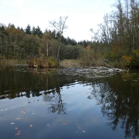 Mit Balkon, Zimmermann * Strasen