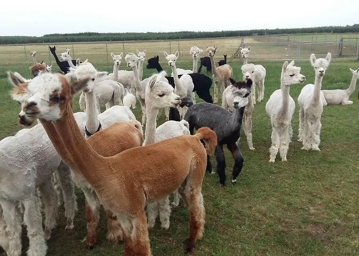 Mit Balkon, Zimmermann Apartamento *