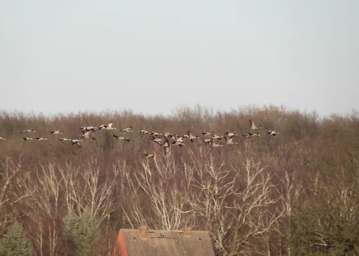 Apartamento Mit Balkon, Zimmermann Strasen