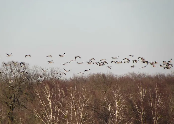 Mit Balkon, Zimmermann Apartamento Strasen