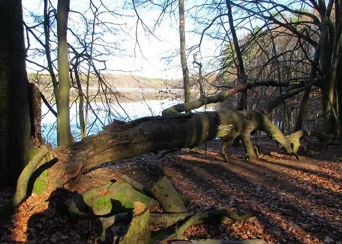 Apartamento Mit Balkon, Zimmermann