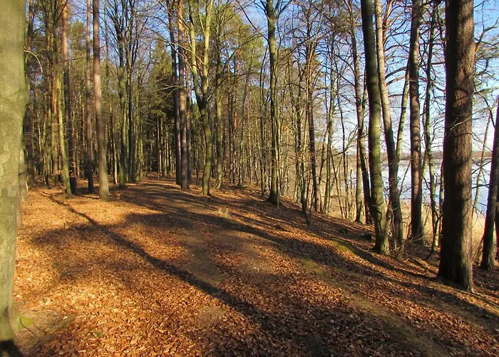 Mit Balkon, Zimmermann *