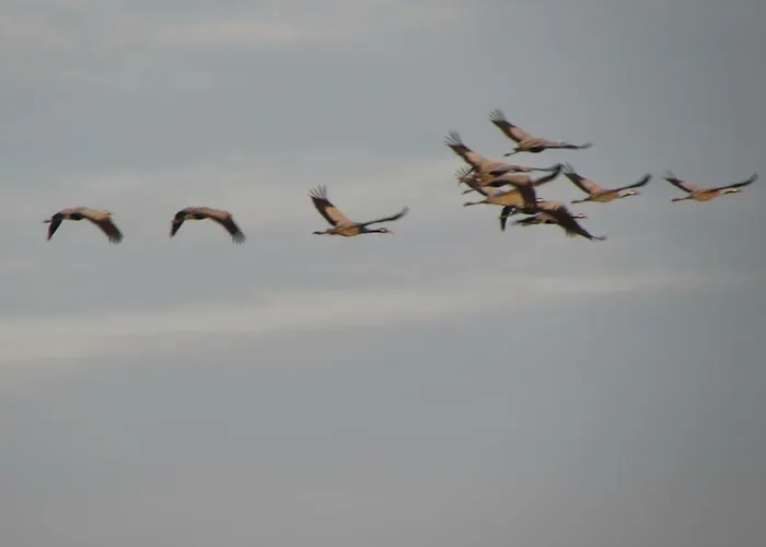 Mit Balkon, Zimmermann Apartamento Strasen