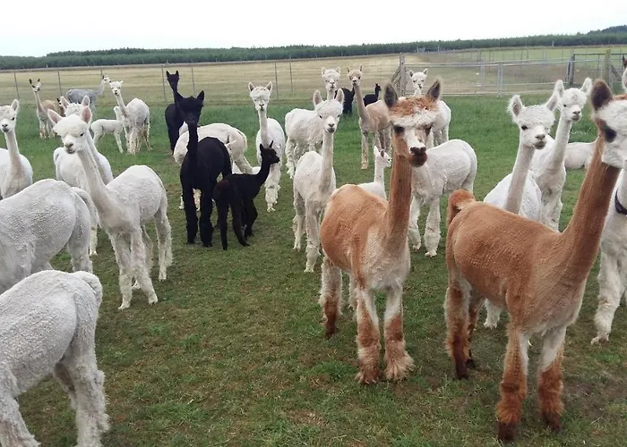 Mit Balkon, Zimmermann Apartamento Strasen