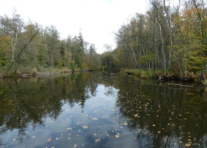 Mit Balkon, Zimmermann * Strasen