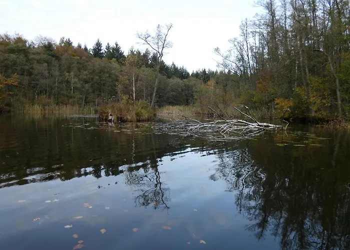 Mit Balkon, Zimmermann * Strasen