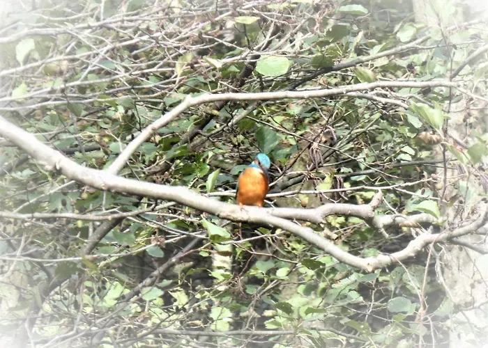 アパート Mit Balkon, Zimmermann